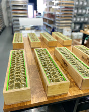 Load image into Gallery viewer, Garden Mint, Main Product Line Soap Recipe, Beginner-Friendly (RECIPE ONLY!)