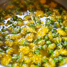Load image into Gallery viewer, Sweet Summer Bundle, FIVE Summer Soap Recipes (RECIPES ONLY!)