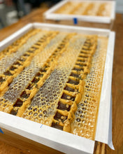 Load image into Gallery viewer, Honey Lemon + BONUS Recipe, Main Product Line Soap, Beginner Friendly (RECIPE ONLY!)