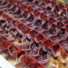 Load image into Gallery viewer, Winter Holiday Bundle, FIVE Holiday Soap Recipes (RECIPES ONLY!)
