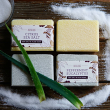 Load image into Gallery viewer, Sea Salt Soap Base Recipe + FIVE Variations! Intermediate/Advanced (RECIPE ONLY!)