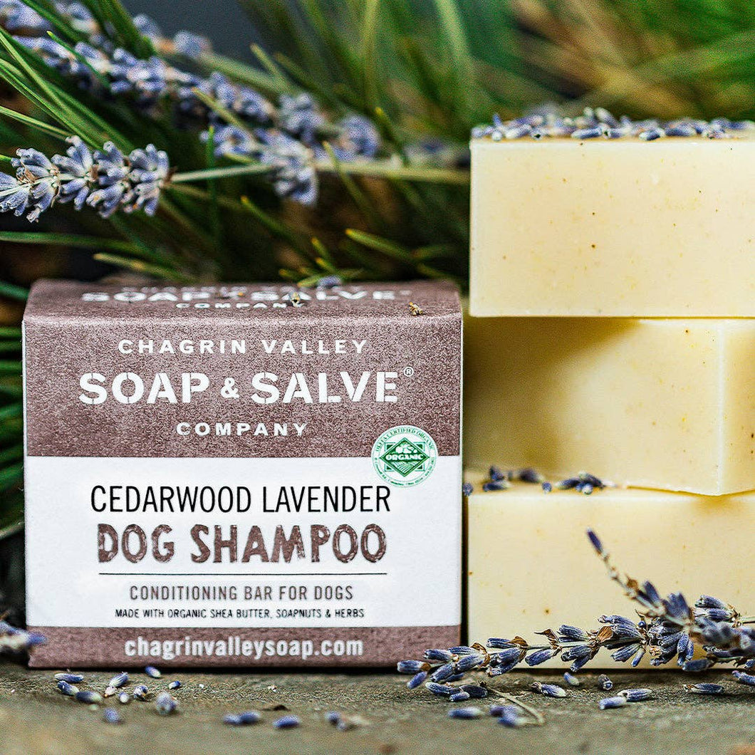 Dog Shampoo: Cedarwood Lavender