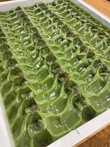 Aloe & Spearmint Soap with Avocado Butter