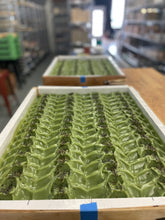 Load image into Gallery viewer, Aloe &amp; Spearmint Soap with Avocado Butter
